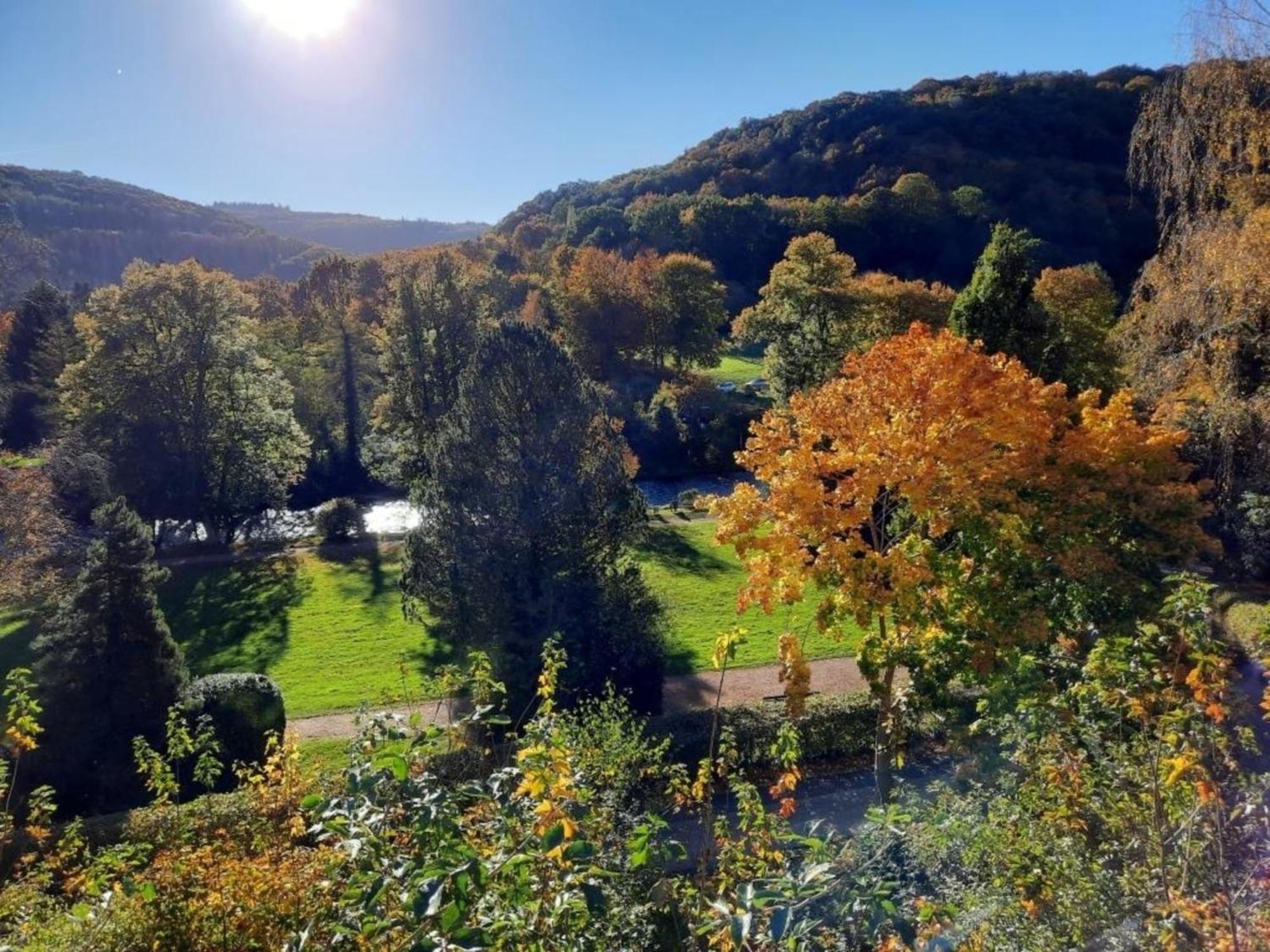 Ferienhaus &#039Freund Am See&#039 1 Heimbach Exteriör bild