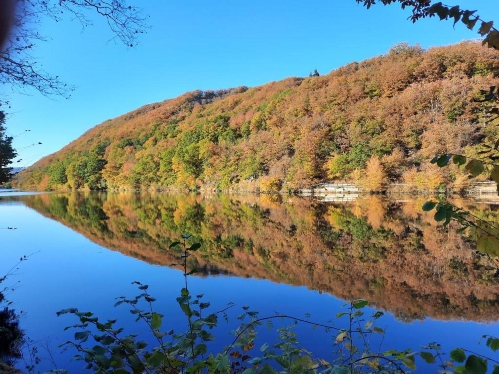 Ferienhaus &#039Freund Am See&#039 1 Heimbach Exteriör bild
